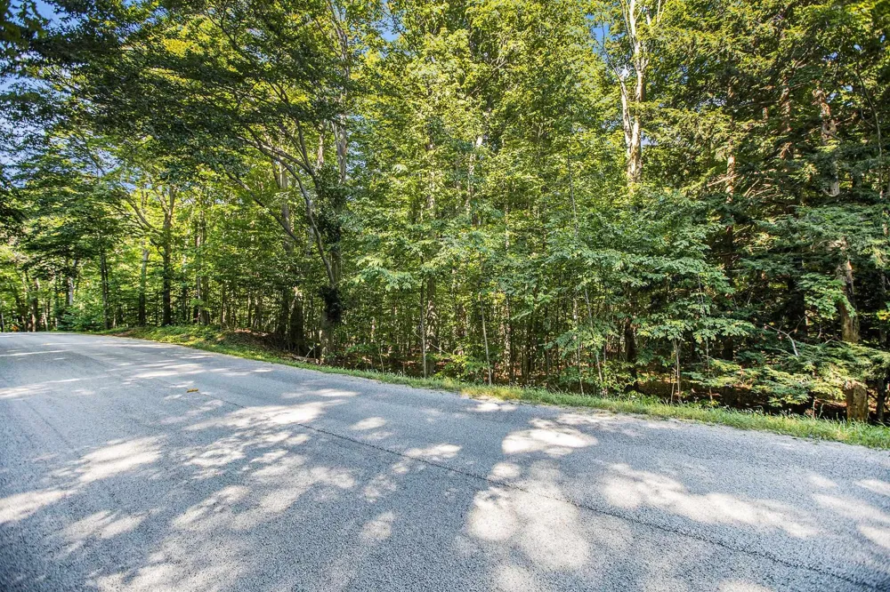313 Shorewood Drive Crystal Lake Township, MI 49635