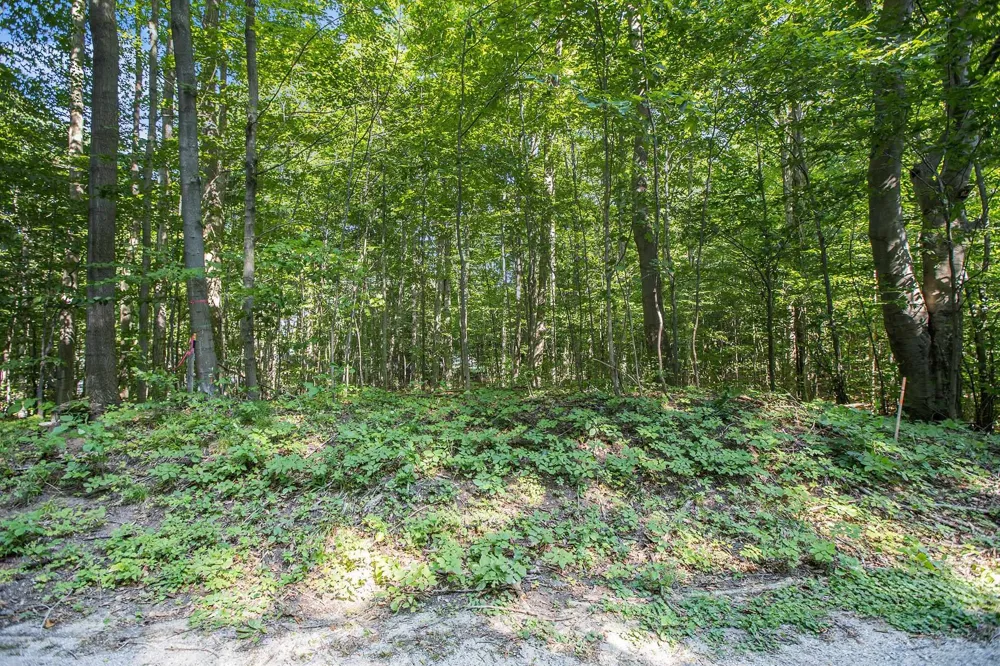 313 Shorewood Drive Crystal Lake Township, MI 49635
