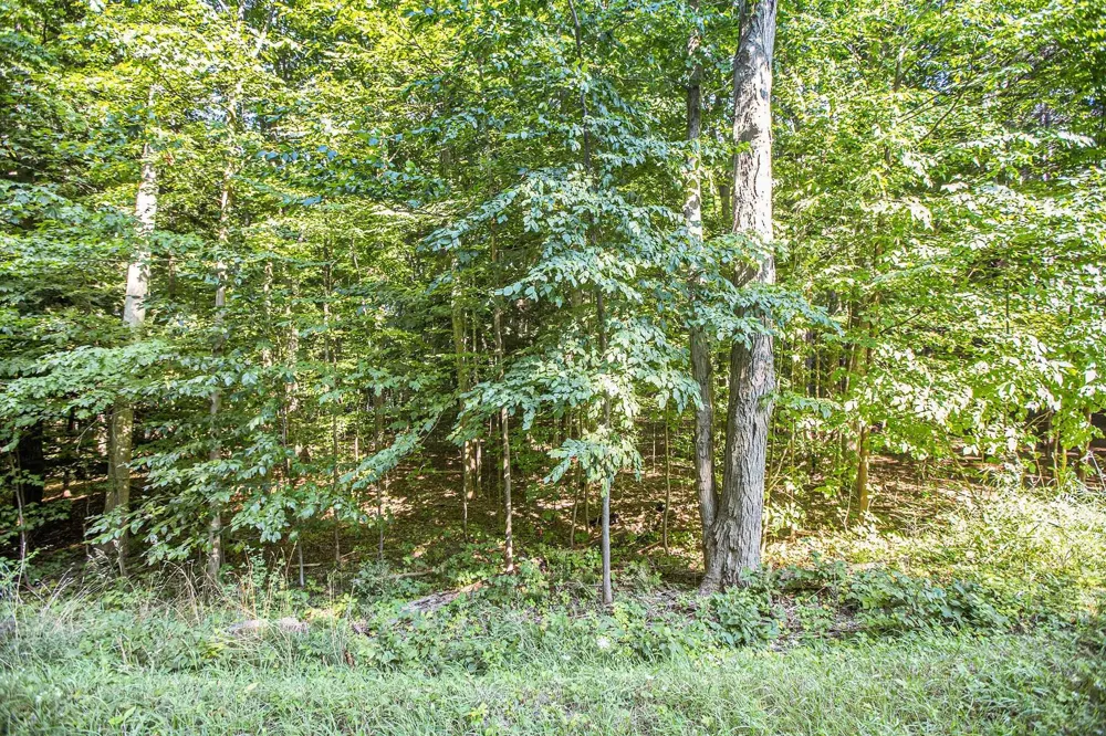 313 Shorewood Drive Crystal Lake Township, MI 49635