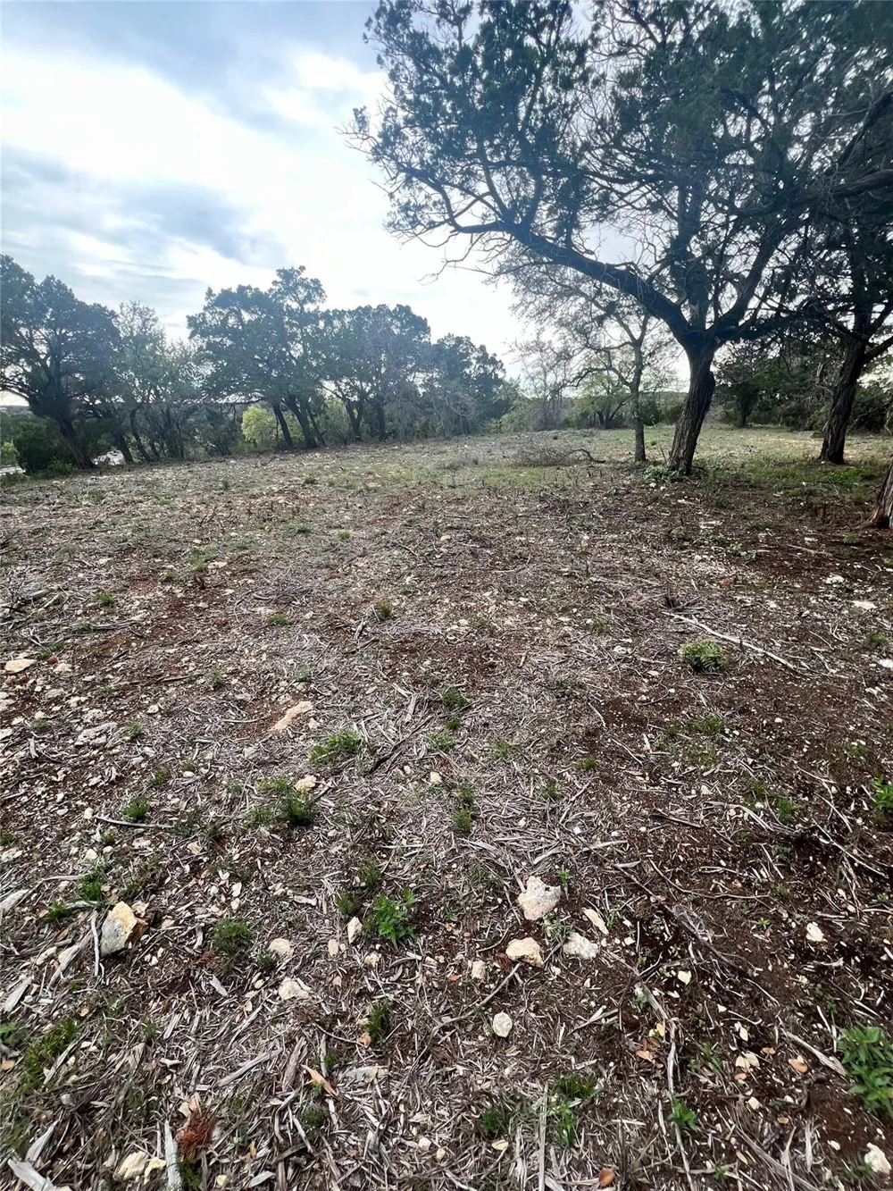 19705 Tyler Trail Leander, TX 78645