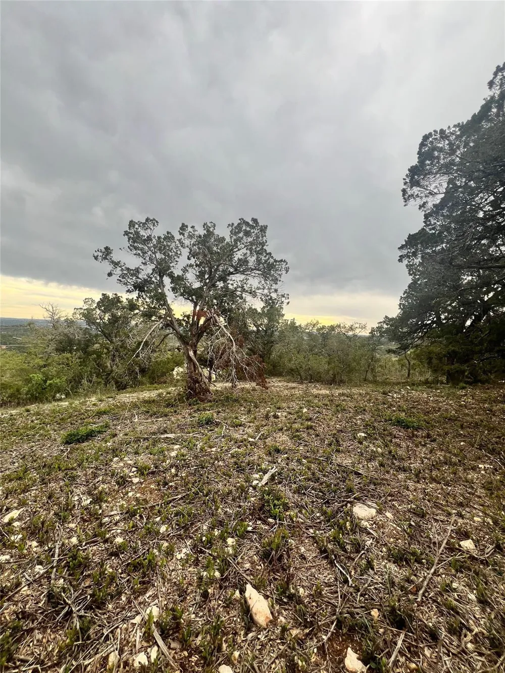 19705 Tyler Trail Leander, TX 78645