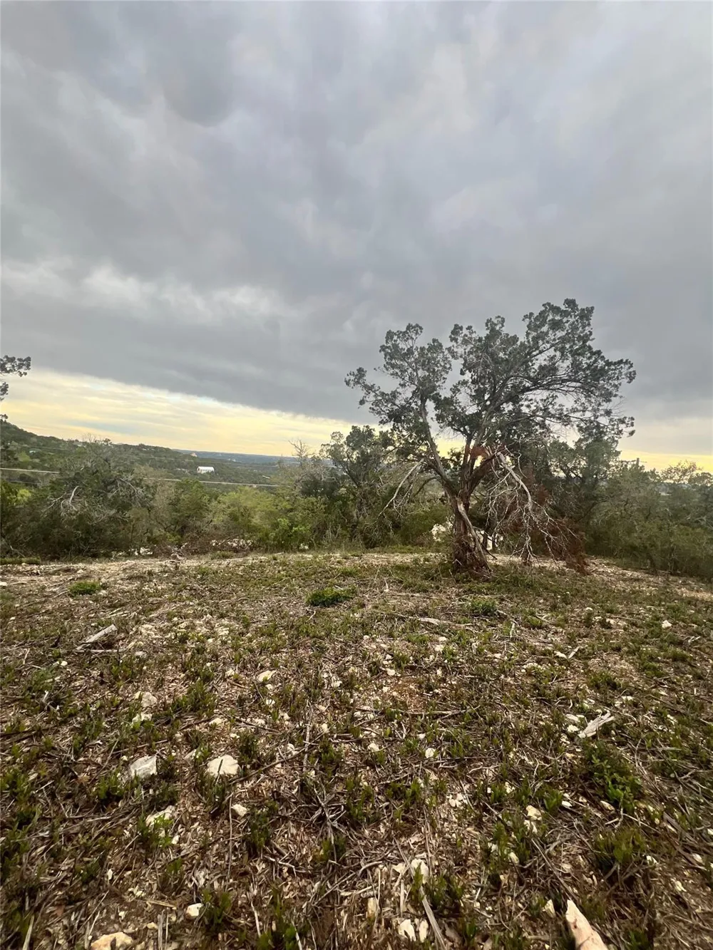 19705 Tyler Trail Leander, TX 78645