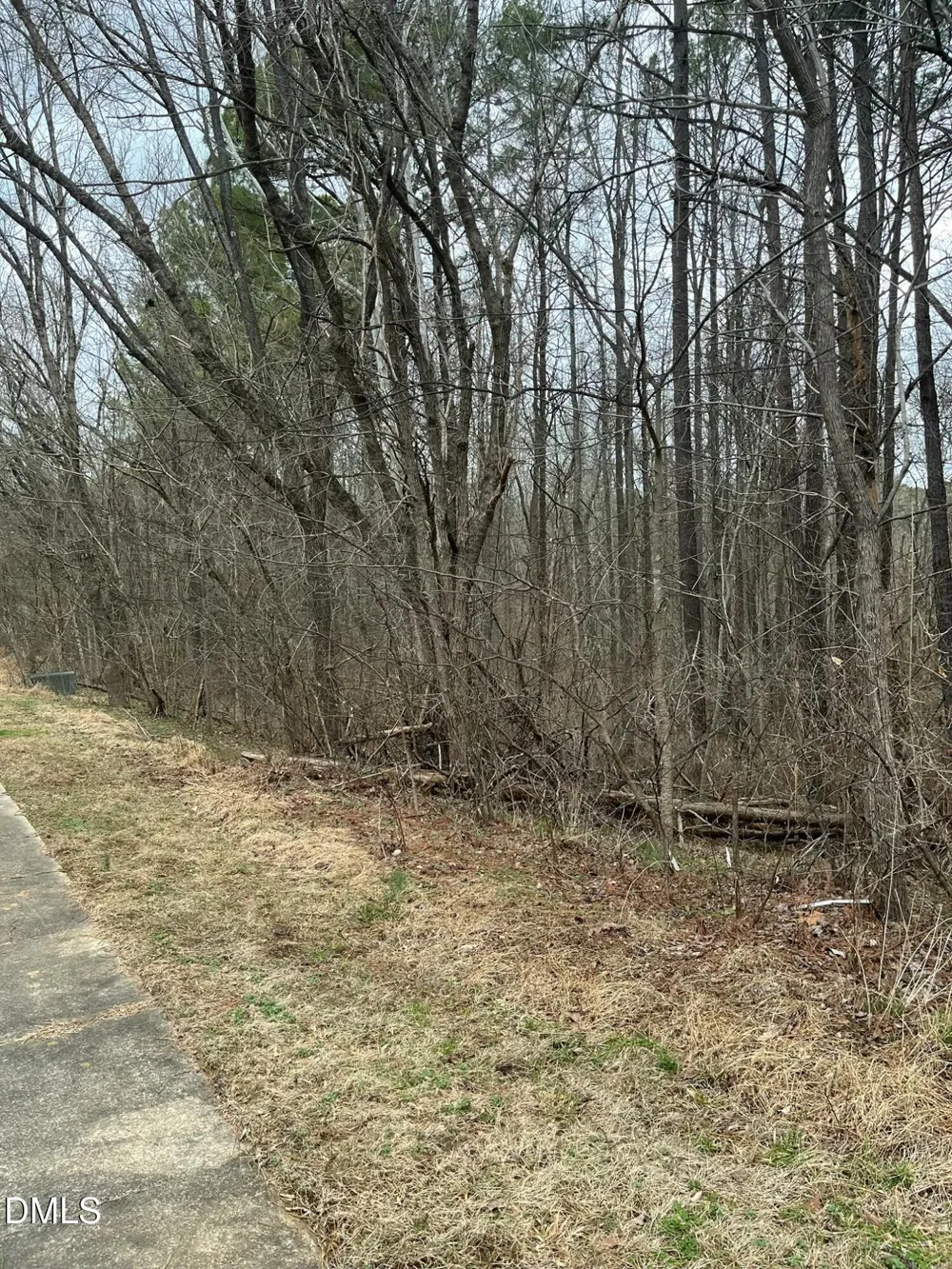 89 Lot Haynoke Drive Graham, NC 27253