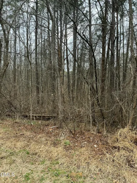 93 Lot Haynoke Drive