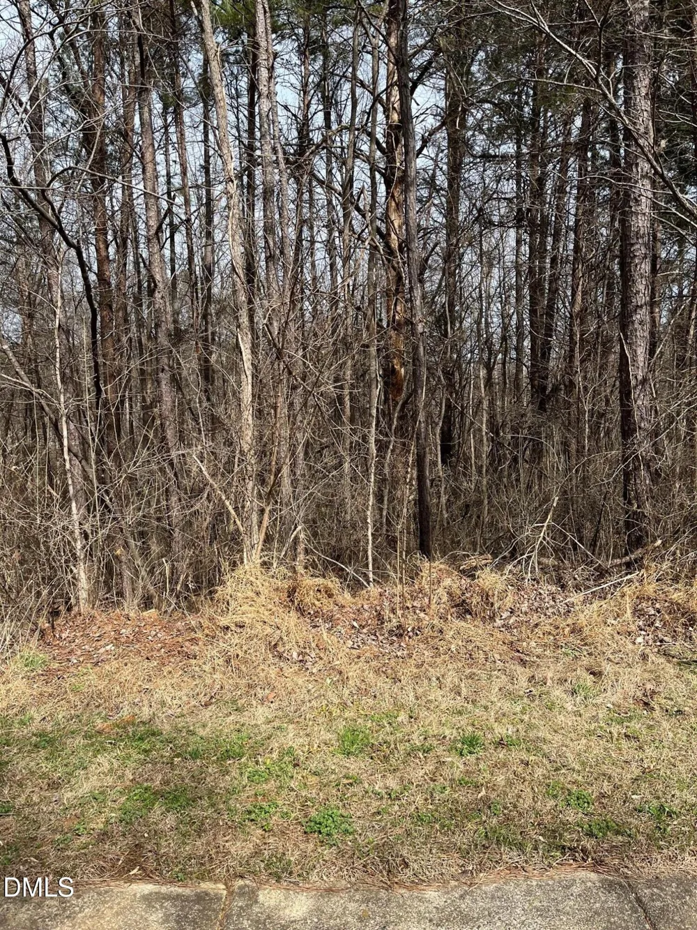 93 Lot Haynoke Drive Graham, NC 27253