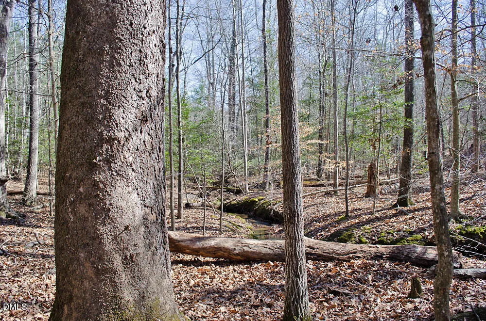 001 Scott Lane Henderson, NC 27537