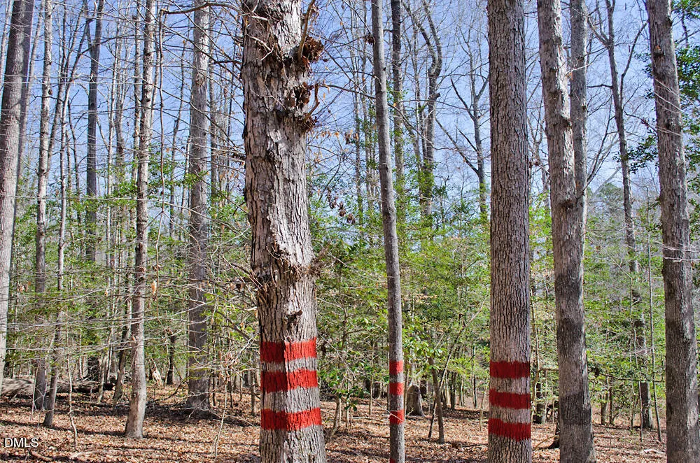 001 Scott Lane Henderson, NC 27537