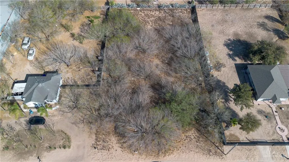 0 Royal Palm Drive Penitas, TX 78576