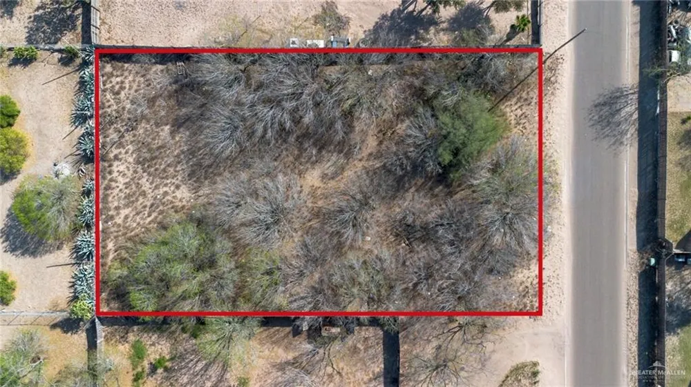 0 Royal Palm Drive Penitas, TX 78576