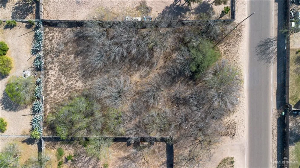 0 Royal Palm Drive Penitas, TX 78576