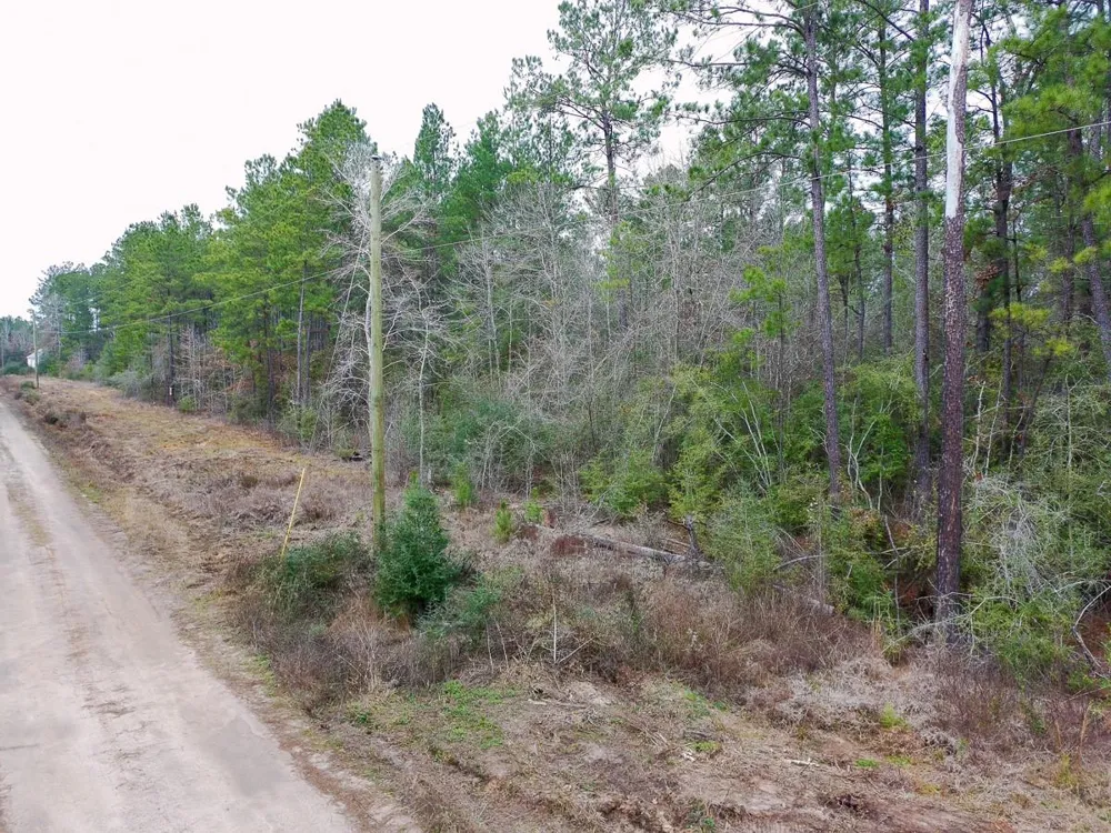 209 Joskey Dykes Road Zavalla, TX 75980
