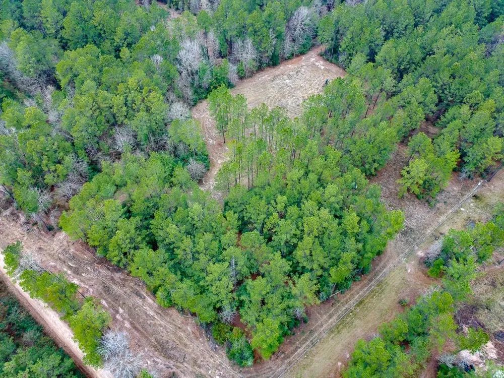 209 Joskey Dykes Road Zavalla, TX 75980