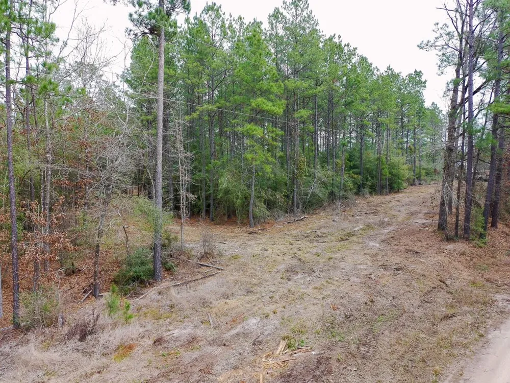 209 Joskey Dykes Road Zavalla, TX 75980