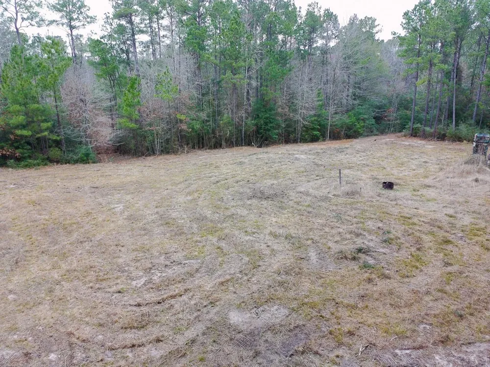209 Joskey Dykes Road Zavalla, TX 75980