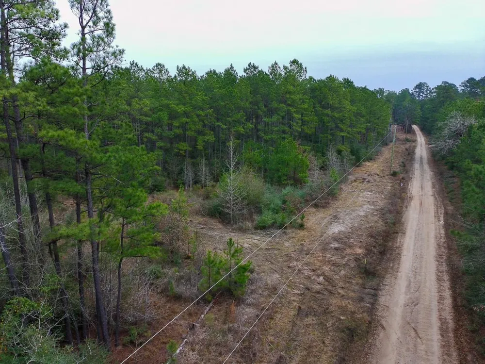 209 Joskey Dykes Road Zavalla, TX 75980