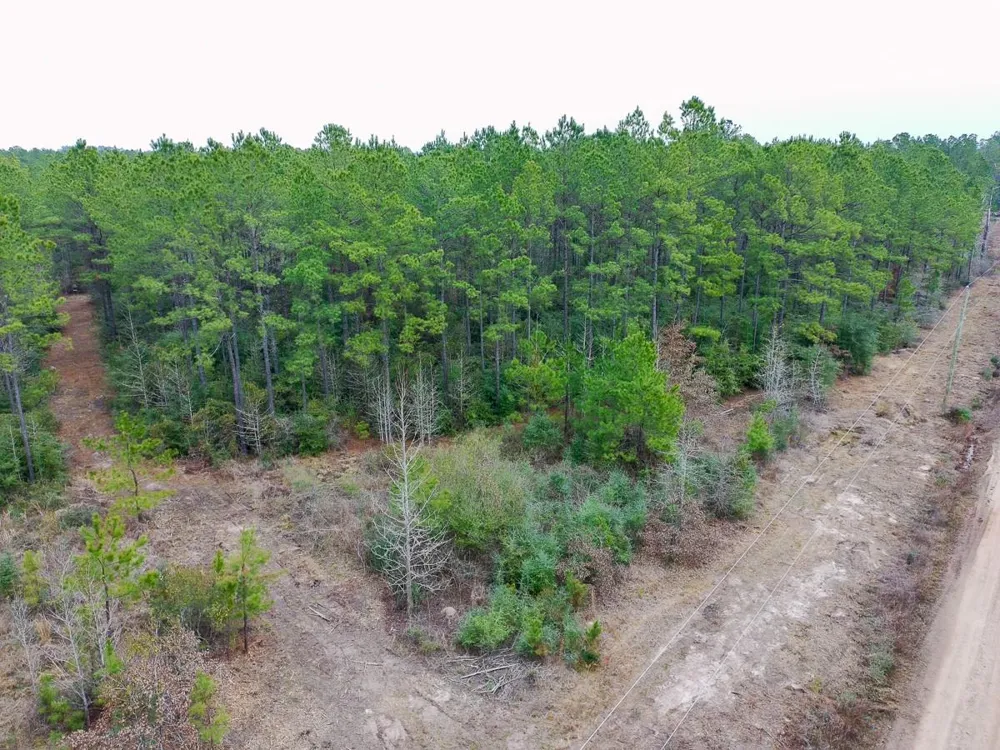 209 Joskey Dykes Road Zavalla, TX 75980