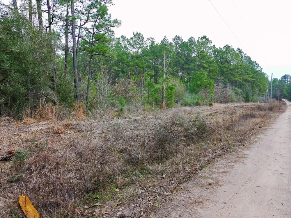 209 Joskey Dykes Road Zavalla, TX 75980