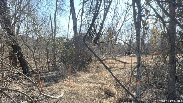 TBD ESS RD Atascosa, TX 78002