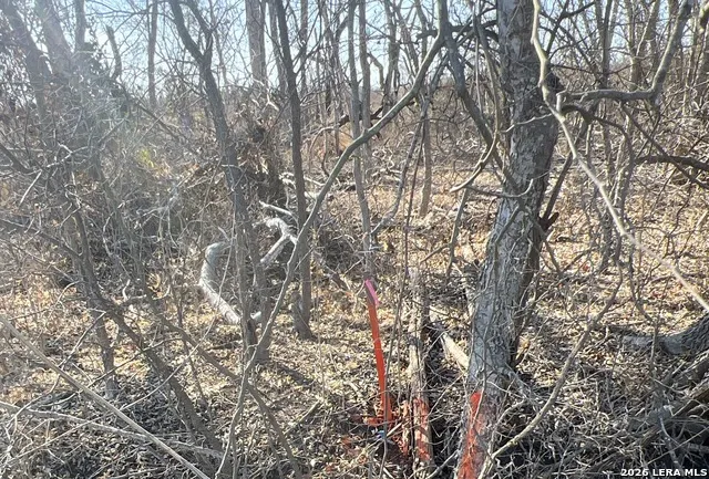 TBD ESS RD Atascosa, TX 78002