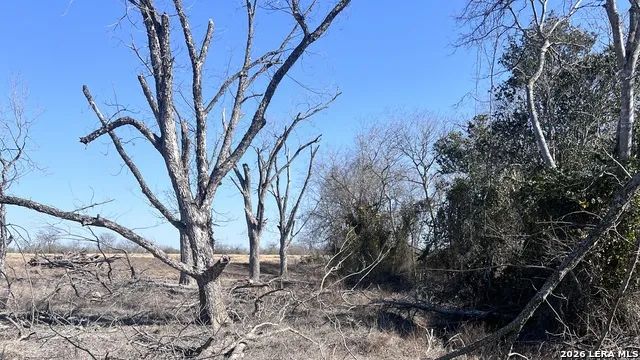 0 Ess Rd Atascosa, TX 78002