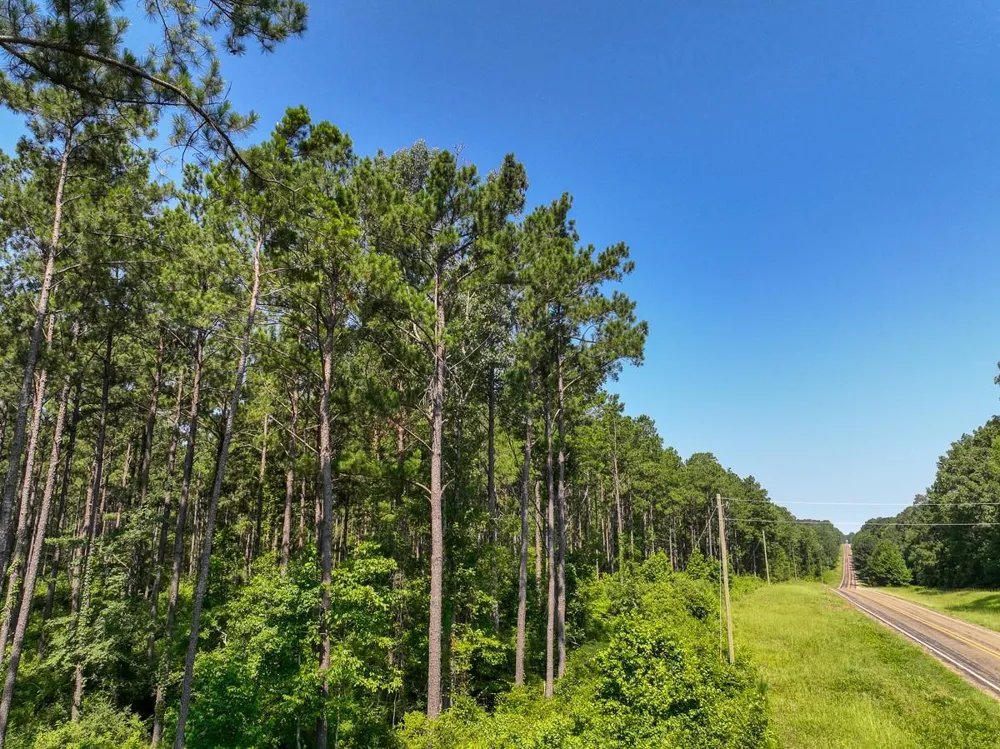 4 Highway 87 Milam, TX 75959
