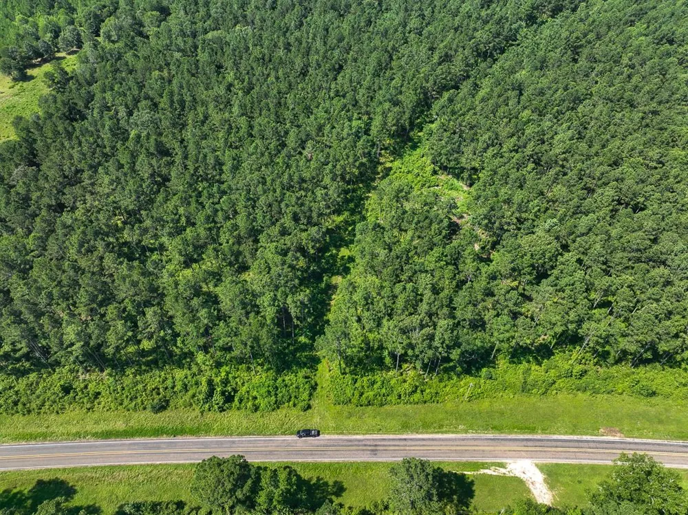 4 Highway 87 Milam, TX 75959