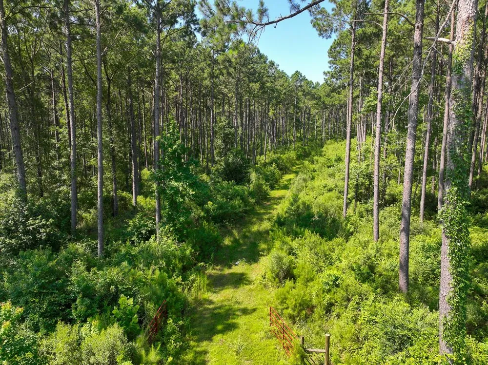 4 Highway 87 Milam, TX 75959