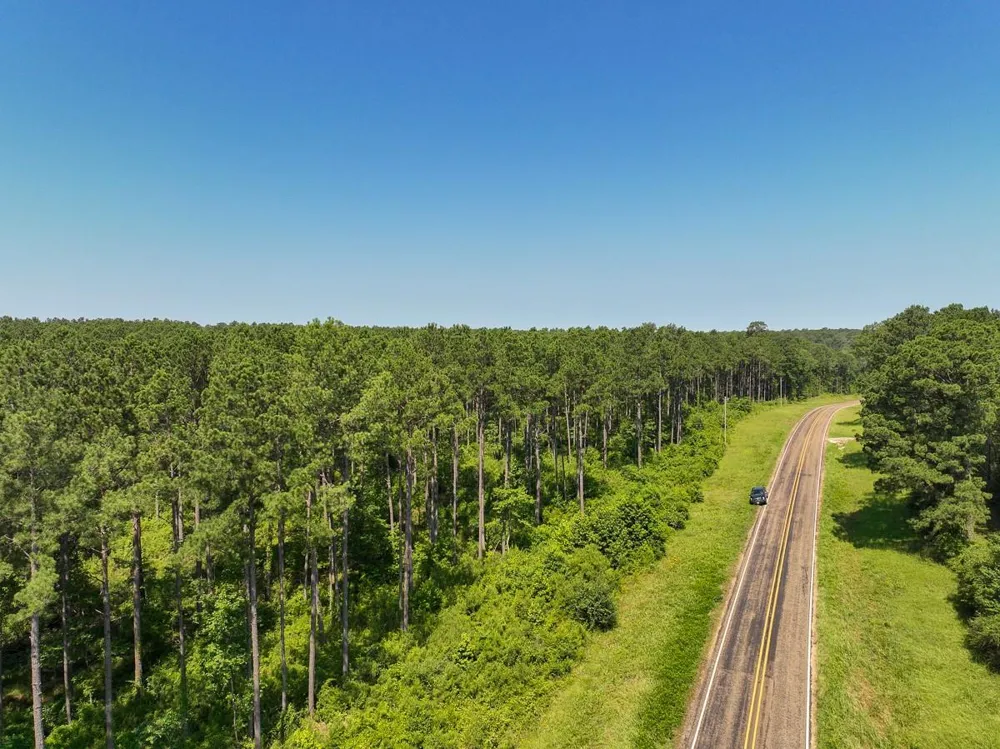 4 Highway 87 Milam, TX 75959