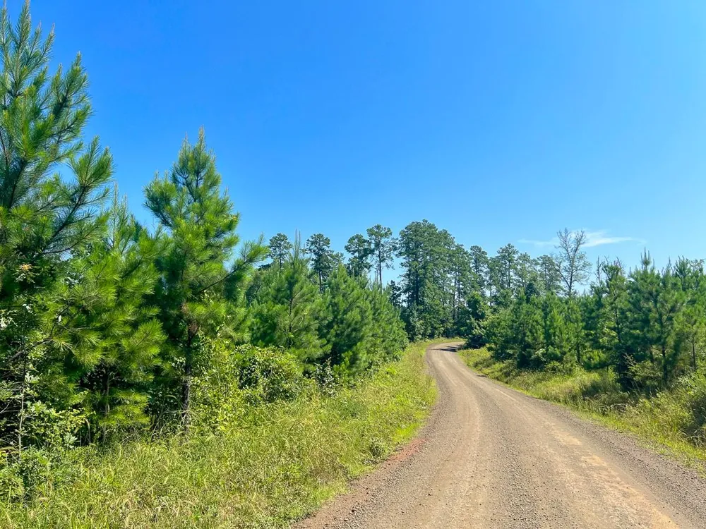 12 Carters Ferry Road Milam, TX 75959