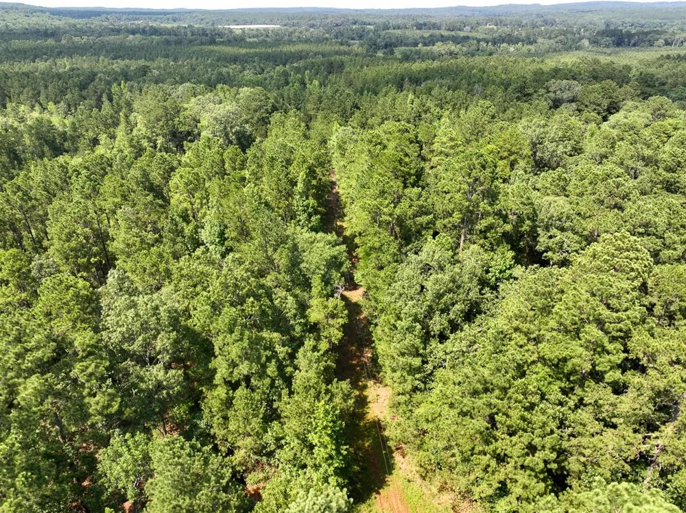 6 Off Highway 21 Geneva, TX 75959