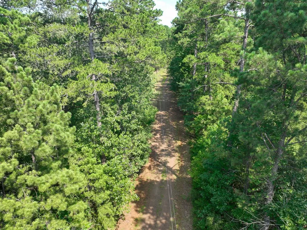 6 Off Highway 21 Geneva, TX 75959