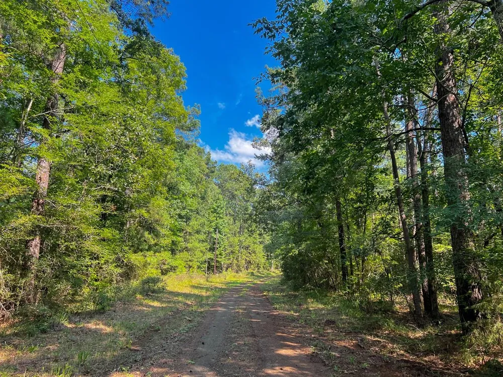 6 Off Highway 21 Geneva, TX 75959