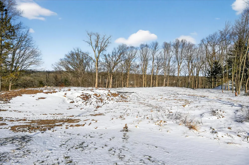6854 Morrison Hills Court Dexter, MI 48130