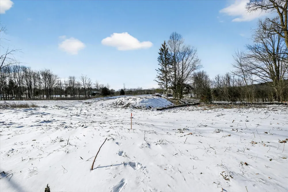 6854 Morrison Hills Court Dexter, MI 48130