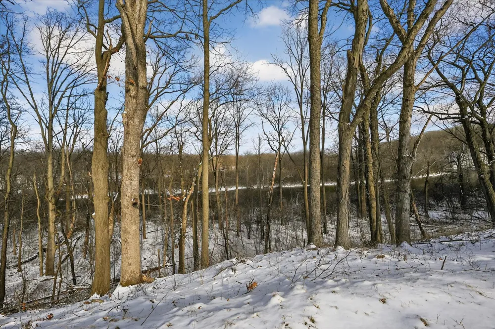 6854 Morrison Hills Court Dexter, MI 48130