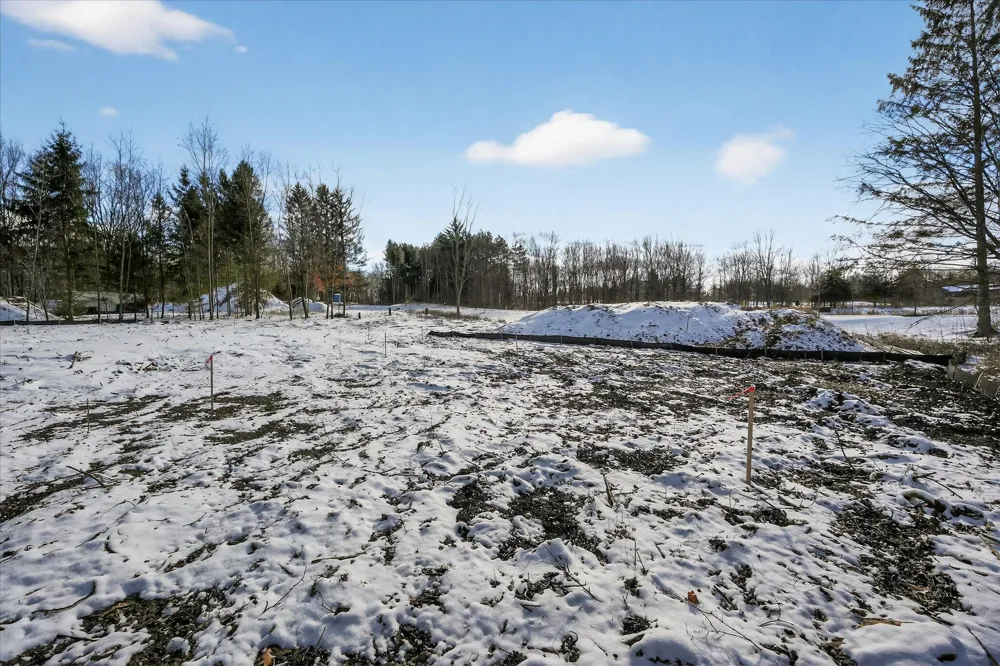 6854 Morrison Hills Court Dexter, MI 48130