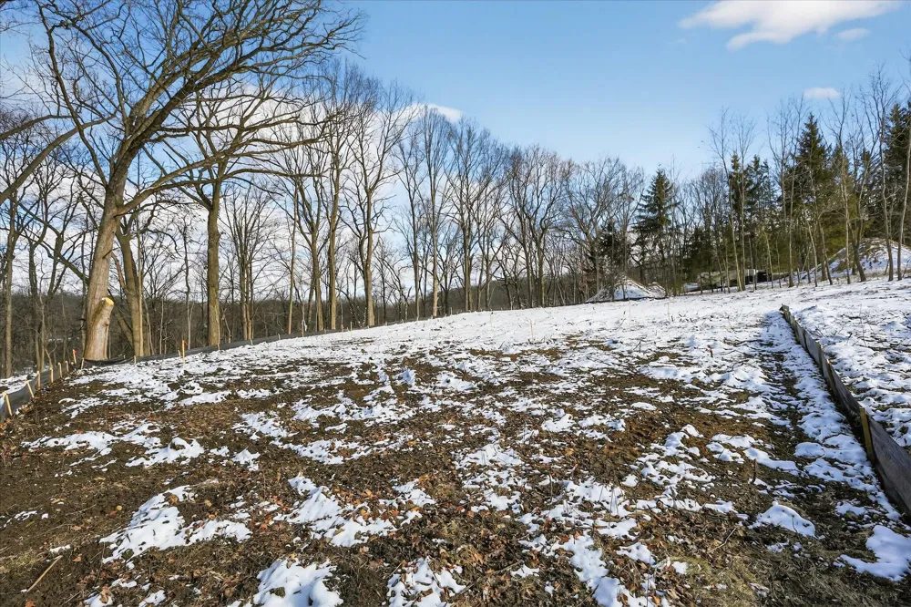 6854 Morrison Hills Court Dexter, MI 48130
