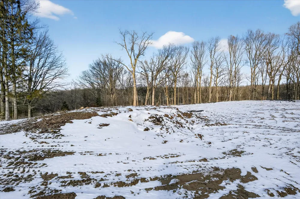 6854 Morrison Hills Court Dexter, MI 48130