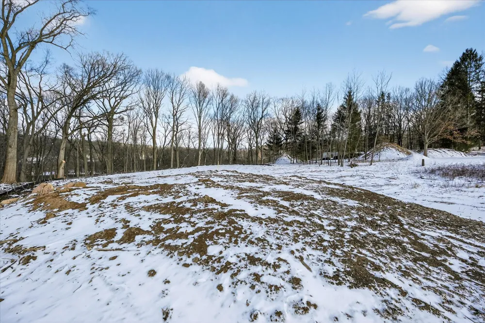 6854 Morrison Hills Court Dexter, MI 48130