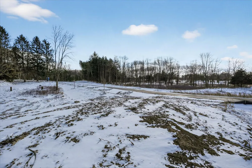 6854 Morrison Hills Court Dexter, MI 48130