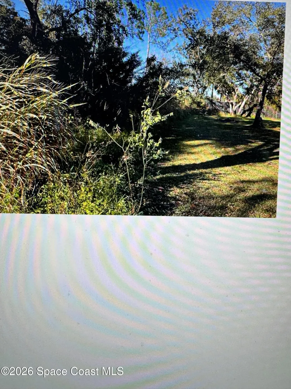 Grove Drive Sanford, FL 32773