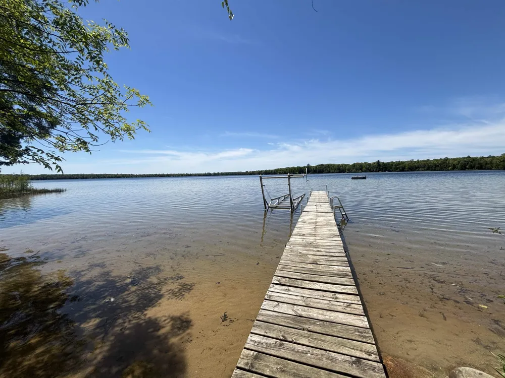 Birch Pointe Drive Elk Rapids Township, MI 49648