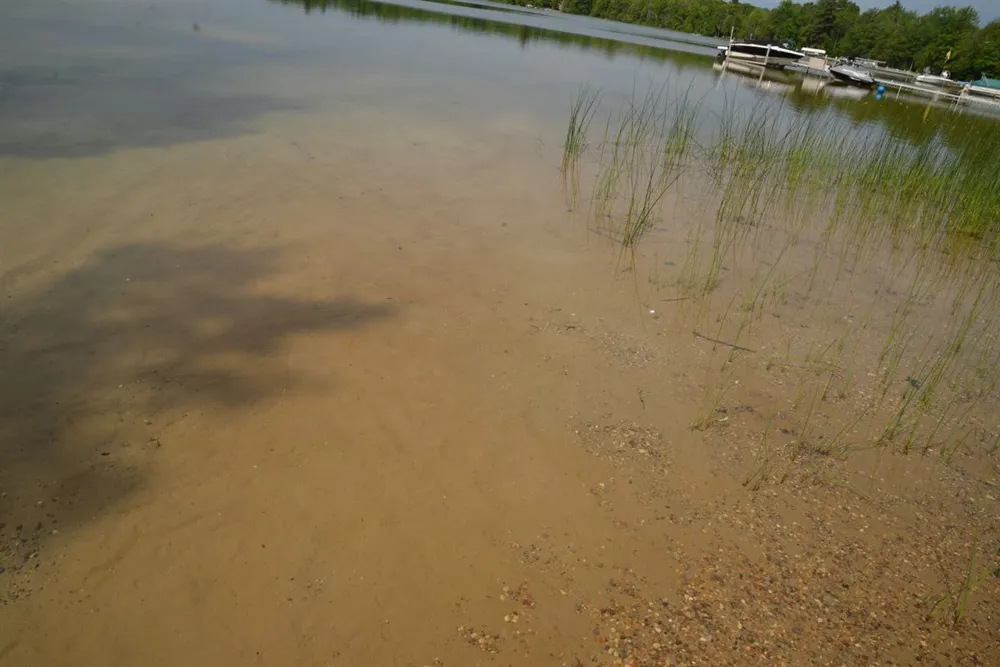 Birch Pointe Drive Elk Rapids Township, MI 49648
