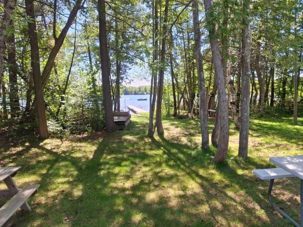 Birch Pointe Drive Elk Rapids Township, MI 49648