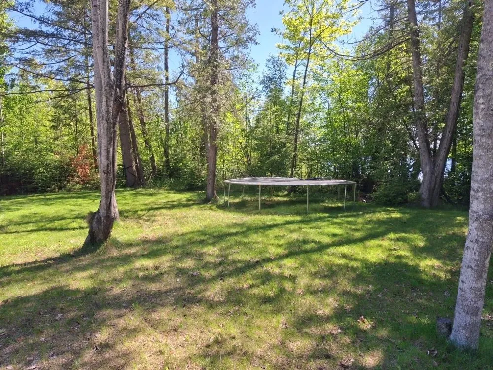 Birch Pointe Drive Elk Rapids Township, MI 49648
