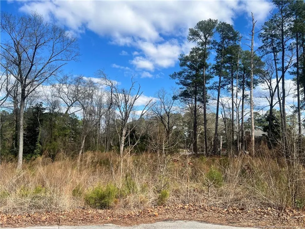Lot 3 Polaris Court Raeford, NC 28376