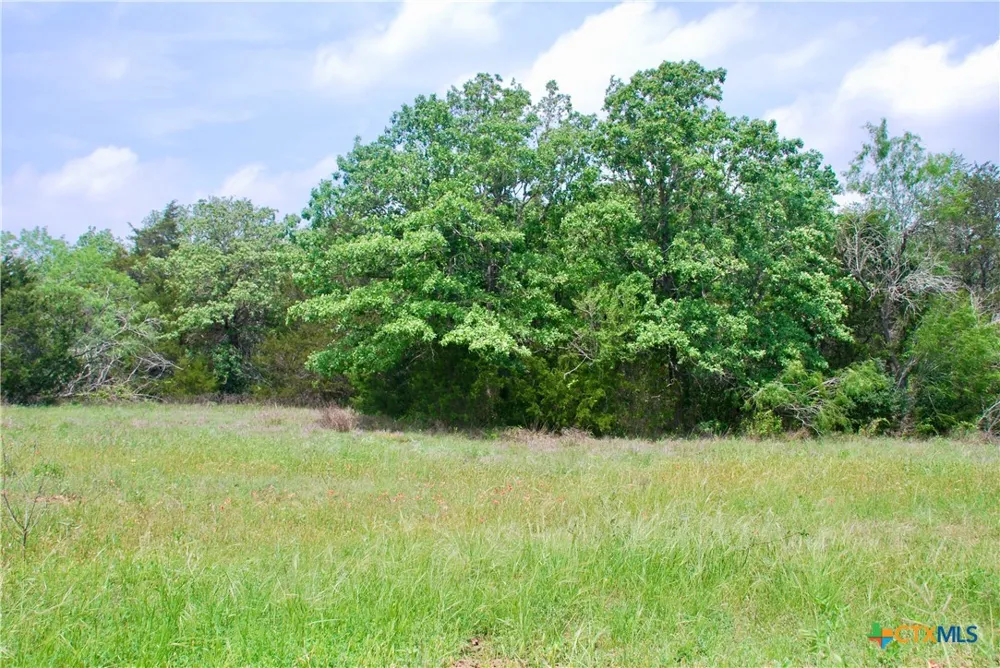 4850 Burke Road Flatonia, TX 78941