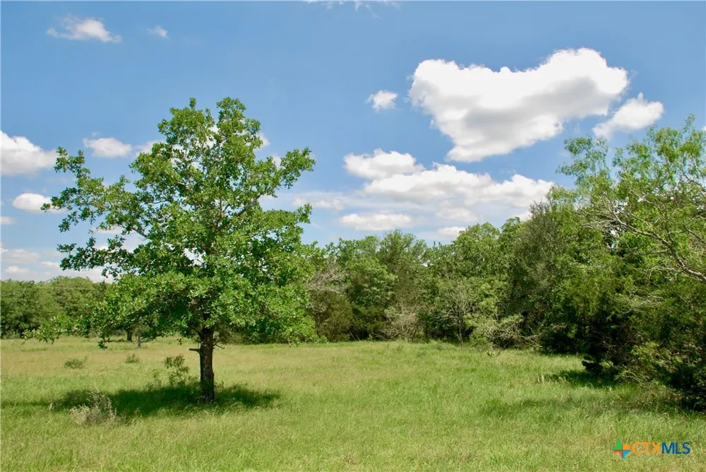4850 Burke Road Flatonia, TX 78941