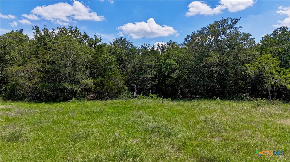 4850 Burke Road Flatonia, TX 78941