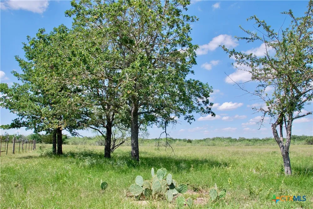 4850 Burke Road Flatonia, TX 78941